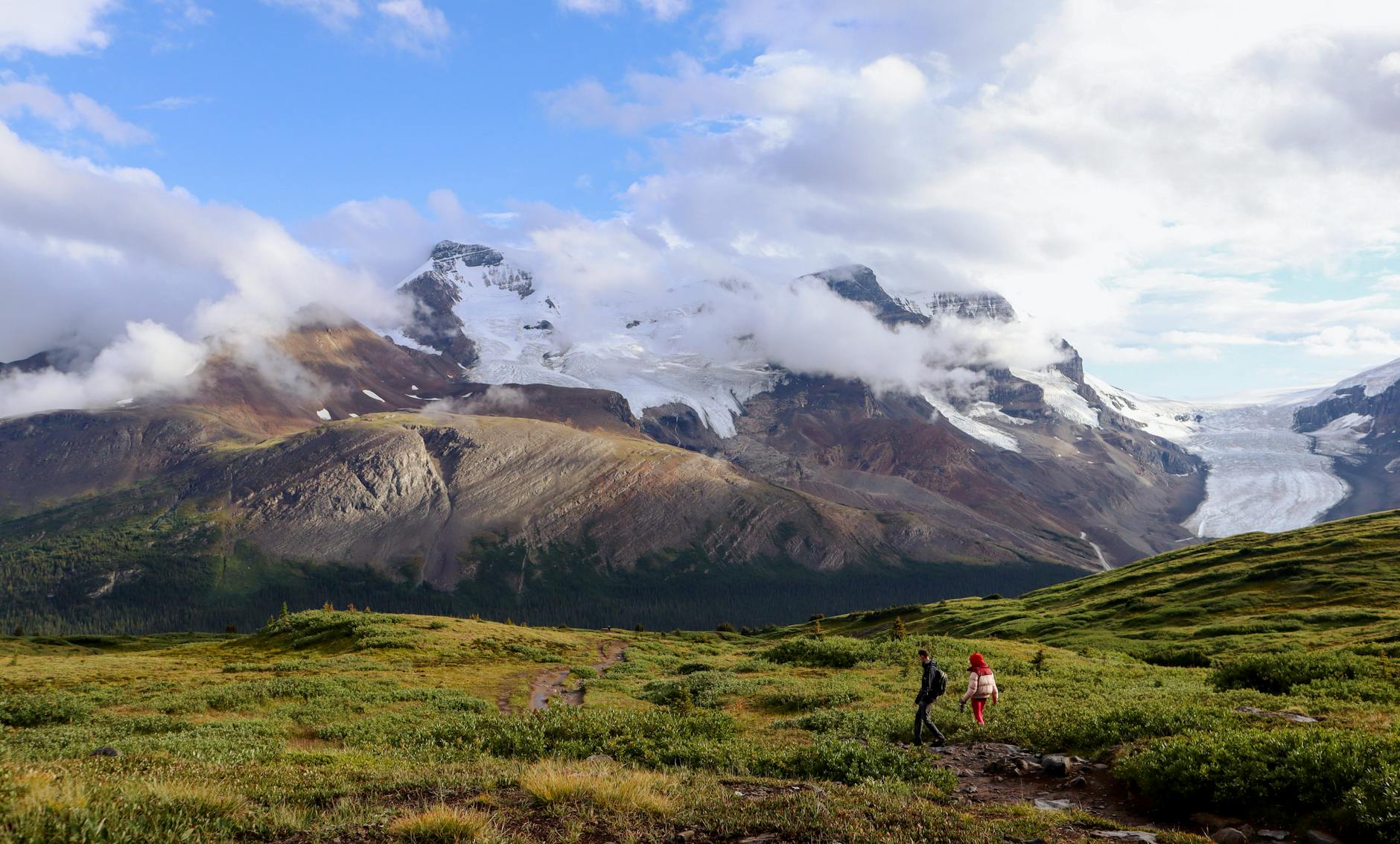 Lodowiec Athabasca otoczony zielenią i skalistymi szczytami w Jasper