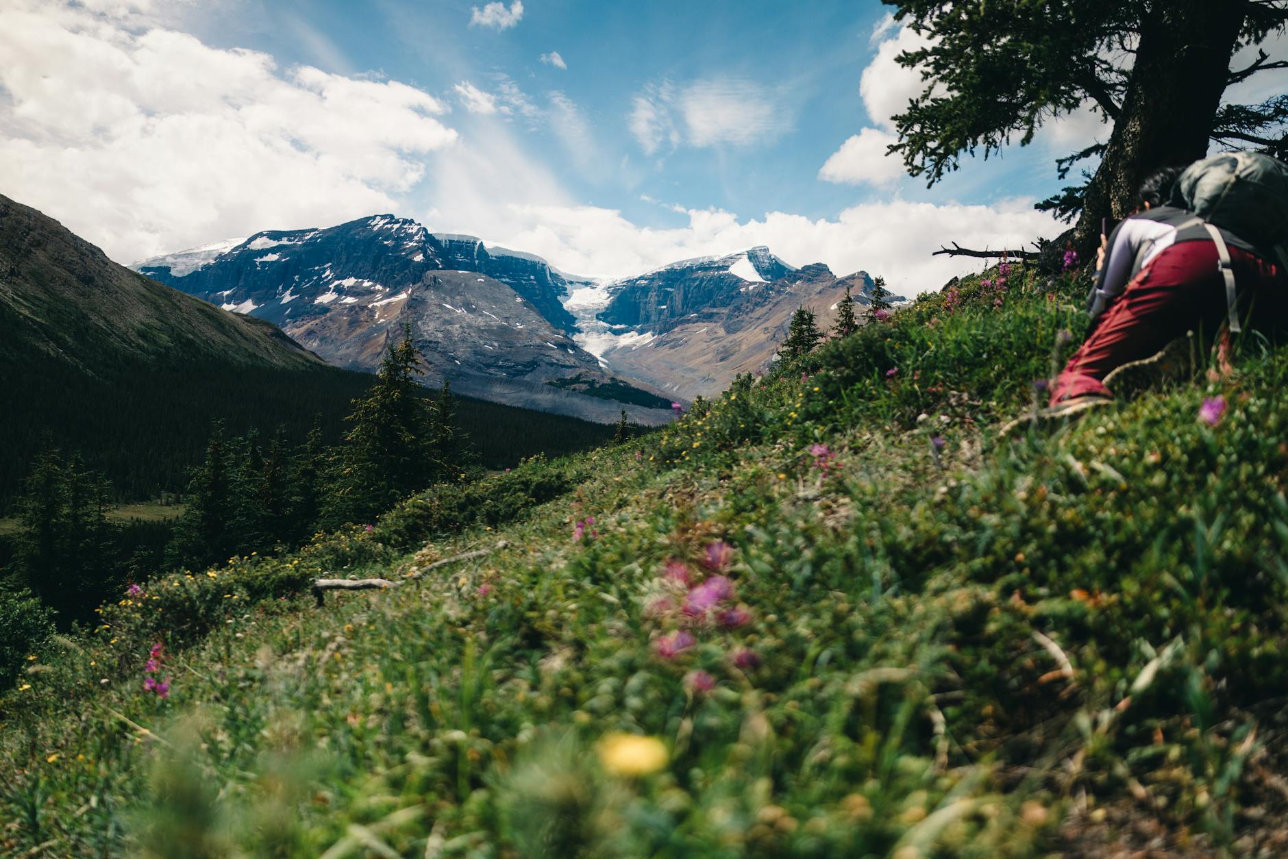Turysta na szlaku w Jasper wśród górskich krajobrazów Alberta